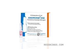 Androne 250