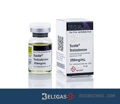 Beligas Sustanon 250