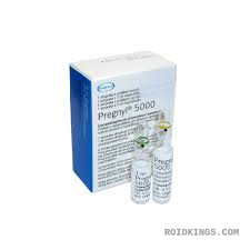Pregnyl 5000 IU